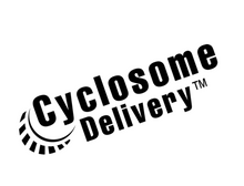 Load image into Gallery viewer, Testosterone 21 - Hi Tech Pharmaceuticals 120 Caps