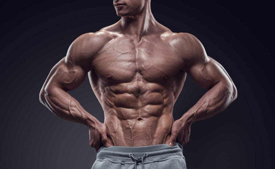 Geranium Extract vs. Yohimbine: Which is Safer for Fat Burning?