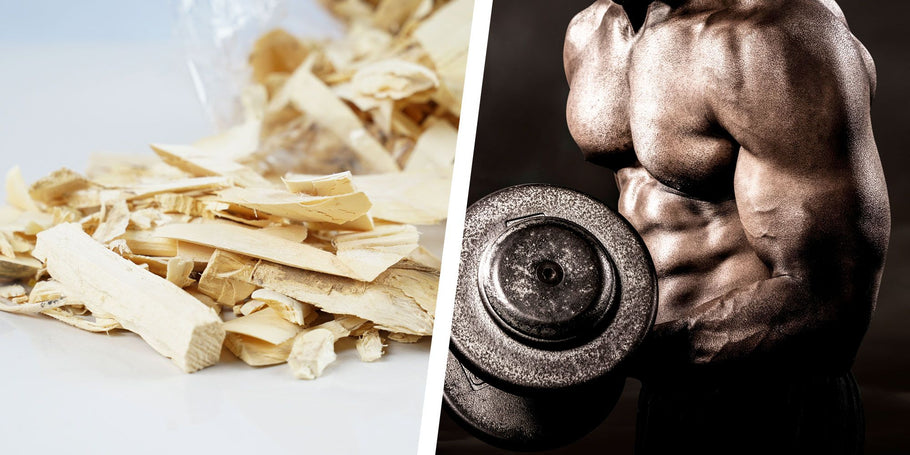 Revolutionize Your Training: The Powerful Role of Tongkat Ali in Bodybuilding!