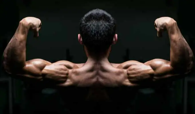 Experts Reveal: The Impact of Eria Jarensis on Metabolic Health