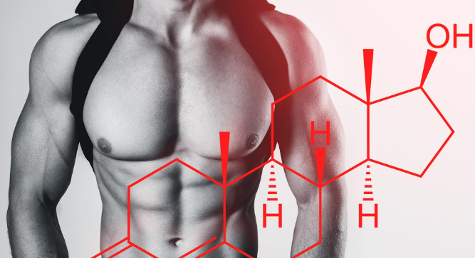 Tongkat Ali vs. Synthetic Testosterone Boosters: Which Wins?