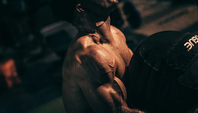 Maximize Your Workout Results: Tongkat Ali's Role in Boosting Testosterone