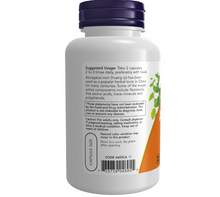 Load image into Gallery viewer, ASTRAGALUS 500mg 100 VCAPS
